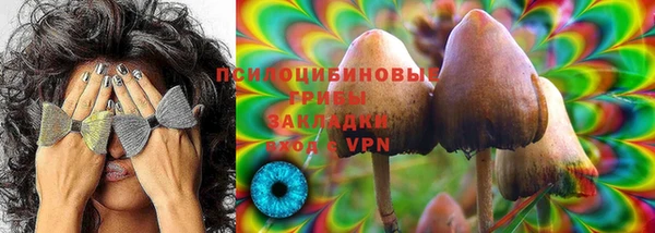 прущая мука Медвежьегорск