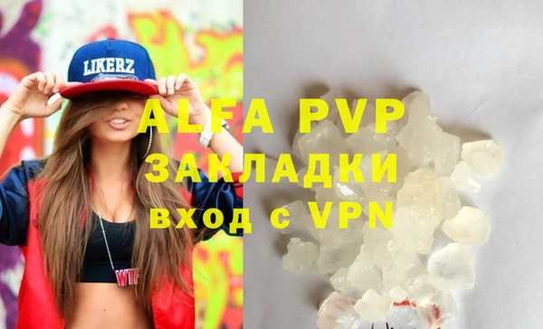 стаф Елизово