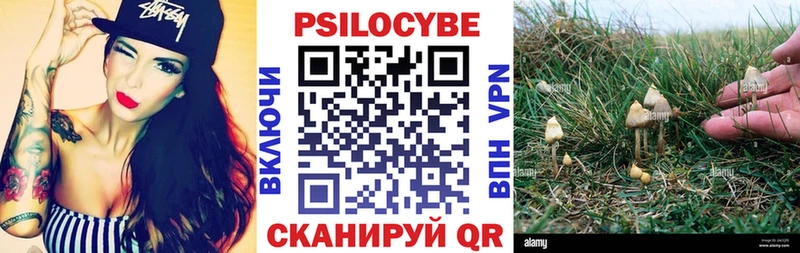 закладка  Радужный  Псилоцибиновые грибы мицелий 